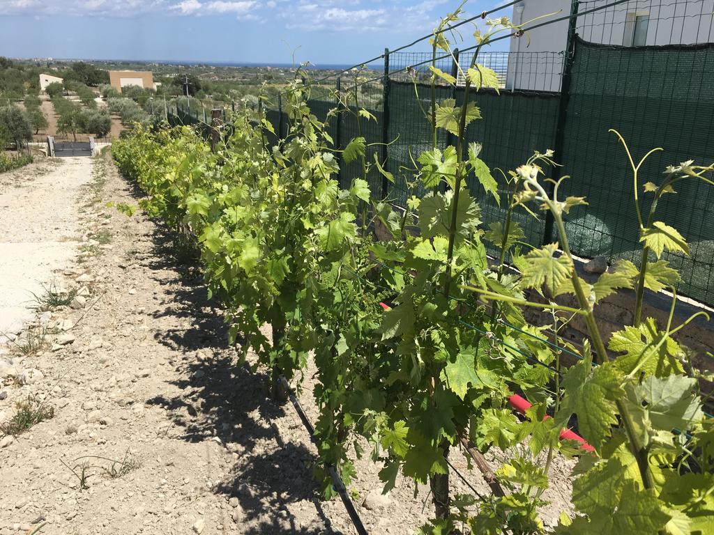 Agriturismoeloropizzuta Lido di Noto Eksteriør bilde